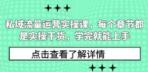 私域流量运营实操课，每个章节都是实操干货，学完就能上手-巅峰资源网