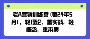 老A营销训练营(更24年12月)，轻理论，重实战，轻概念，重本质-巅峰资源网