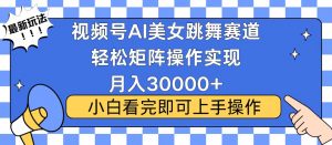 视频号蓝海赛道玩法，当天起号，拉爆流量收益，小白也能轻松月入30000+-巅峰资源网