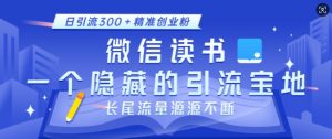 微信读书，一个隐藏的引流宝地，不为人知的小众打法，日引流300+精准创业粉，长尾流量源源不断-巅峰资源网