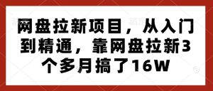 网盘拉新项目，从入门到精通，靠网盘拉新3个多月搞了16W-巅峰资源网