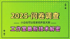 2025问卷调查最新工作室技术解密：一个人在家也可以闷声发大财，小白一天2张，可矩阵放大【揭秘】-巅峰资源网