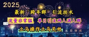最新“跨年群”引流，流量非常猛，单日引流两人满人群，立马操作立马见效【揭秘】-巅峰资源网