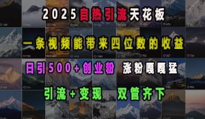 2025自热引流天花板，一条视频能带来四位数的收益，引流+变现双管齐下，日引500+创业粉，涨粉嘎嘎猛-巅峰资源网