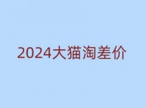 2024版大猫淘差价课程，新手也能学的无货源电商课程-巅峰资源网