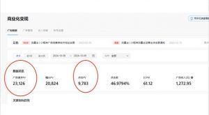 抖音雪花无人直播，一天躺赚3000+，0粉手机可搭建，不违规不限流，小白...-巅峰资源网