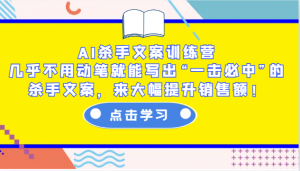 AI杀手文案训练营：几乎不用动笔就能写出“一击必中”的杀手文案，来大幅提升销售额！-巅峰资源网
