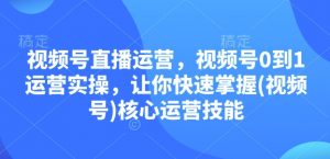 视频号直播运营，视频号0到1运营实操，让你快速掌握(视频号)核心运营技能-巅峰资源网
