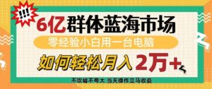 6亿群体蓝海市场，零经验小白用一台电脑，如何轻松月入过w【揭秘】-巅峰资源网