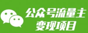 公众号流量主变现项目：每天2小时，普通人每月多挣三五千-巅峰资源网