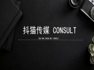 抖猫学院小红书聚光详细操作流程实操-巅峰资源网