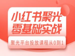 小红书聚光零基础实战，聚光平台投放课程从0到1-巅峰资源网