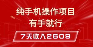 纯手机操作的小项目，有手就能做，7天收入2609+实操教程【揭秘】-巅峰资源网