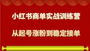 小红书商单实战训练营，从0到1教你如何变现，从起号涨粉到稳定接单，适合新手-巅峰资源网