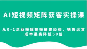AI短视频矩阵获客实操课，从0-1企业短短视频搭建经验，销售运营成本最高降低50倍-巅峰资源网