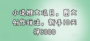 小说推文项目，图文创作玩法，新手10天挣3000-巅峰资源网
