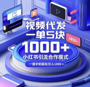 视频代发，一单5块，小红书引流合作模式，一部手机轻松日入多张【揭秘】-巅峰资源网