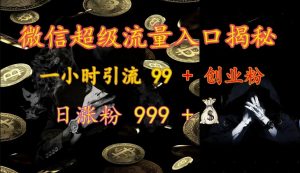 微信超级流量入口揭秘：一小时引流 99 + 创业粉，日涨粉 999 +-巅峰资源网