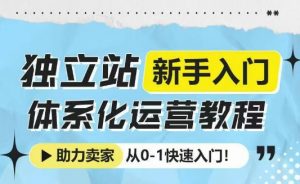 独立站新手入门体系化运营教程，助力独立站卖家从0-1快速入门!-巅峰资源网