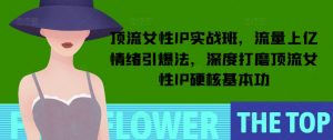 顶流女性IP实战班，流量上亿情绪引爆法，深度打磨顶流女性IP硬核基本功-巅峰资源网