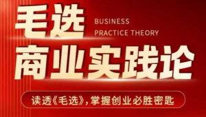毛选商业实践论，读透《毛选》掌握创业必胜密匙-巅峰资源网