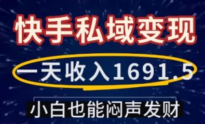 一天收入1691.5，快手私域变现，小白也能闷声发财-巅峰资源网