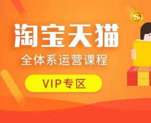淘宝天猫全体系运营课程：店铺全系运营、动销玩法、付费推广、流量提升、擦边球玩法等等-巅峰资源网