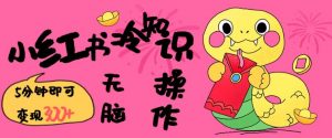 小红书冷知识账号，无脑复制粘贴，5分钟即可变现3张-巅峰资源网