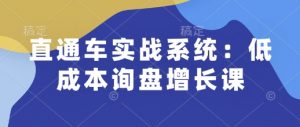 直通车实战系统：低成本询盘增长课，让个人通过技能实现升职加薪，让企业低成本获客，订单源源不断-巅峰资源网