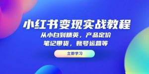 小红书变现实战教程：从小白到精英，产品定价，笔记带货，账号运营等-巅峰资源网