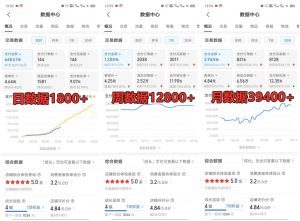 拼多多虚拟店铺项目，电脑挂机自动发货，单店日利润300+-巅峰资源网