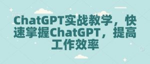 ChatGPT实战教学，快速掌握ChatGPT，提高工作效率-巅峰资源网