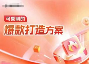 天猫电商爆款运营，可复制的爆款打造方案(线下内训课录音+字幕)-巅峰资源网