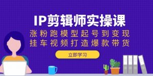 IP剪辑师实操课：涨粉跑模型起号到变现，挂车视频打造爆款带货-巅峰资源网