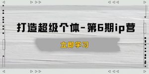 打造 超级个体-第6期ip营：商业认知,产品设计,成交演练,解决知识变现难题-巅峰资源网