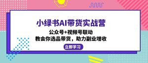 小绿书AI带货实战营：公众号+视频号联动，教会你选品带货，助力副业增收-巅峰资源网