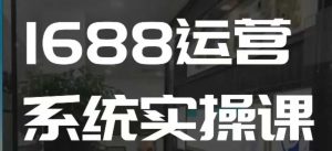 1688高阶运营系统实操课，快速掌握1688店铺运营的核心玩法-巅峰资源网