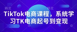 TikTok电商课程，​系统学习TK电商起号到变现-巅峰资源网