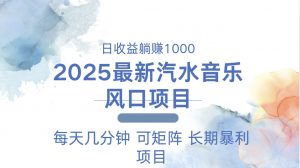 2025最新汽水音乐躺赚项目 每天几分钟 日入1000＋-巅峰资源网