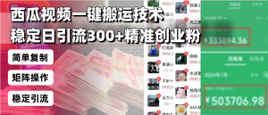 西瓜视频一键搬运技术，稳定日引流300+精准创业粉，简单可复制给团队，...-巅峰资源网