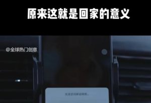 利用春节风口，制作热点视频，多种玩法类型，新手也能轻松变现！-巅峰资源网