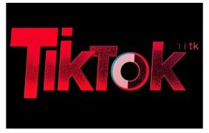 TikTok ads投流秘籍，涵盖tiktok整体投放思路，教你搭建测试计划-巅峰资源网