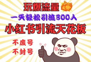 小红书引流天花板，玩爆流量，一天轻松引流300人，安全操作-巅峰资源网