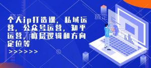 个人ip打造课，私域运营，公众号运营，知乎运营，底层逻辑和方向定位等-巅峰资源网