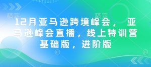 12月亚马逊跨境峰会， 亚马逊峰会直播，线上特训营基础版，进阶版-巅峰资源网