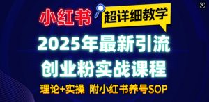 2025年最新小红书引流创业粉实战课程【超详细教学】小白轻松上手，月入1W+，附小红书养号SOP-巅峰资源网