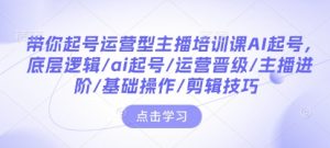 带你起号运营型主播培训课AI起号，底层逻辑/ai起号/运营晋级/主播进阶/基础操作/剪辑技巧-巅峰资源网