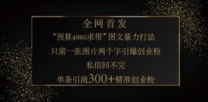 小红书神奇图片引流法，只需一张图，就能单条笔记凭借此方法，轻松引流 300 + 精准创业粉-巅峰资源网