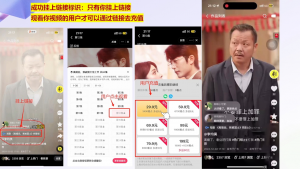 书阳老师·短剧运营变现之路-巅峰资源网