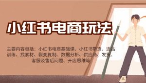 小红书电商玩法：带货/选品/找素材/裂变/数据分析/供应商/发货/售后/开店思维等-巅峰资源网